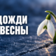 Подожди до весны: история о вере и любви